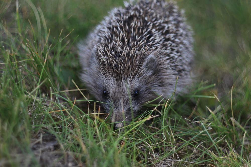 Photograph by Юлия Щетинина