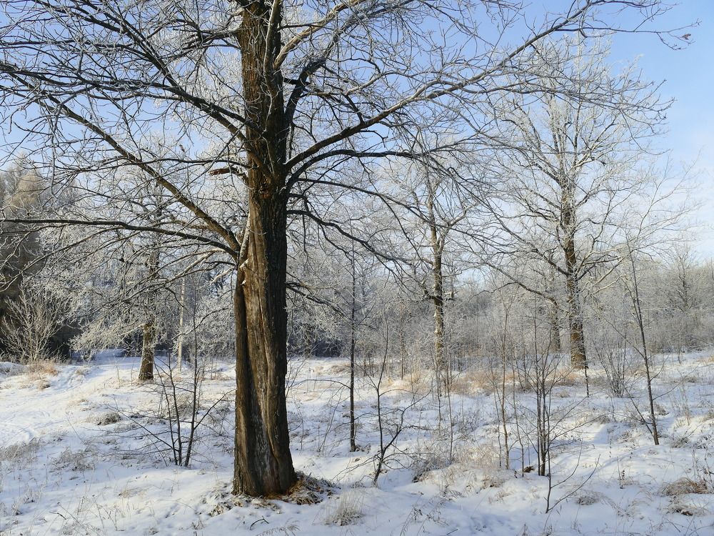 Photograph by Александр Кизим