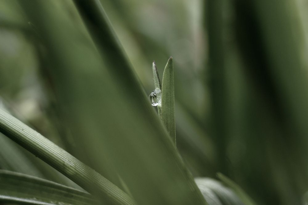 Photograph by Евгения Кинжакова