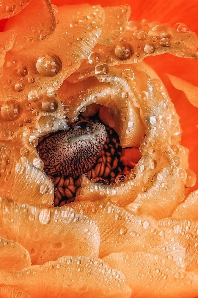 Photograph by Anya Lo