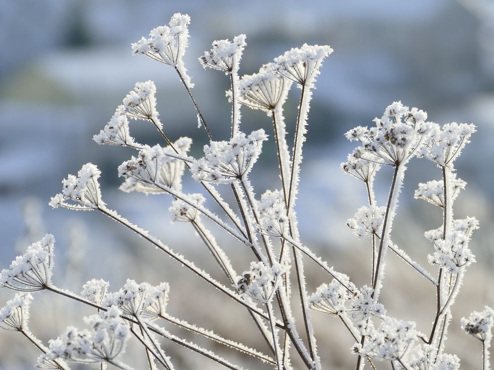 Photograph by Александр Кизим