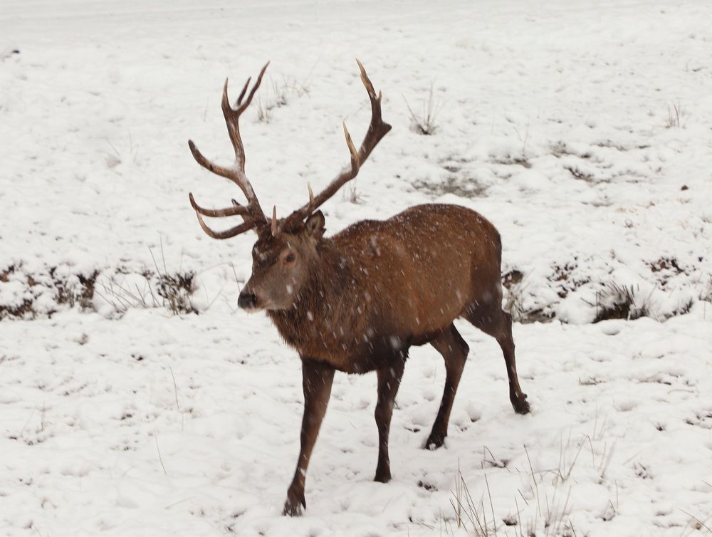 Photograph by Елена Тимченко