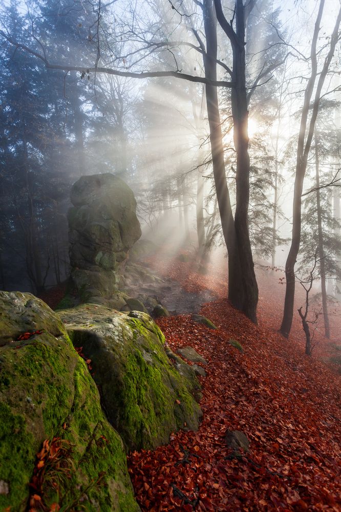 Photograph by Mirosław Pruchnicki
