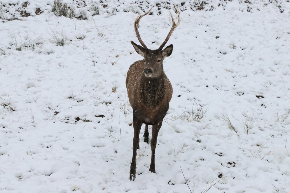 Photograph by Елена Тимченко