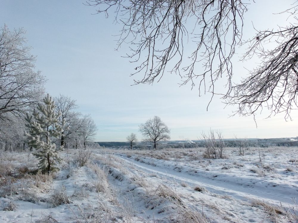 Photograph by Александр Кизим