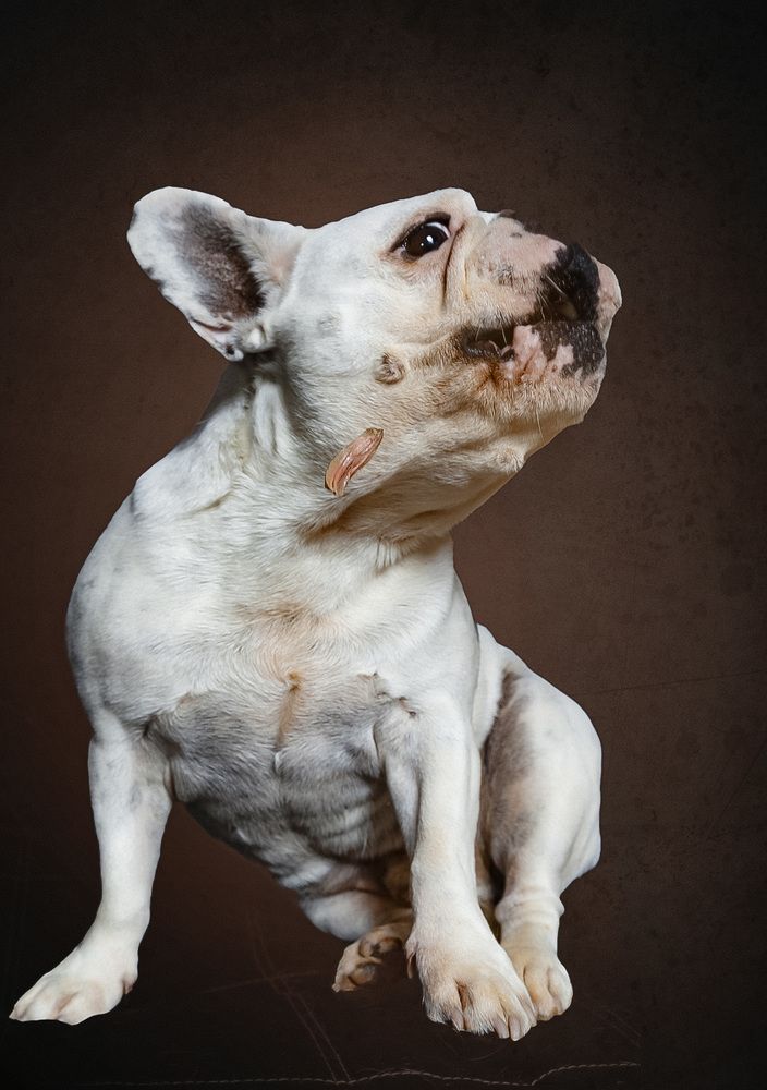 Photograph by Мария Кузьмина