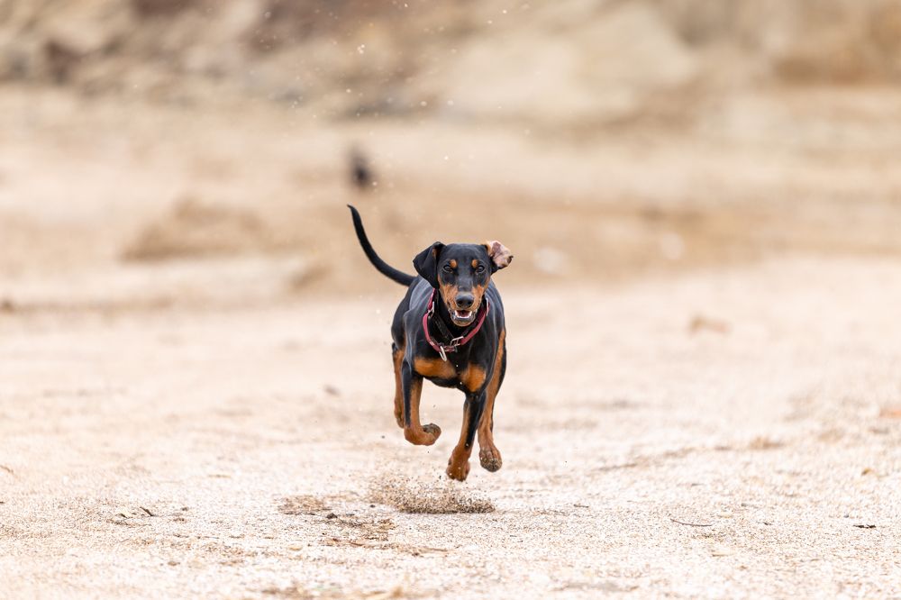 Пляжный полет