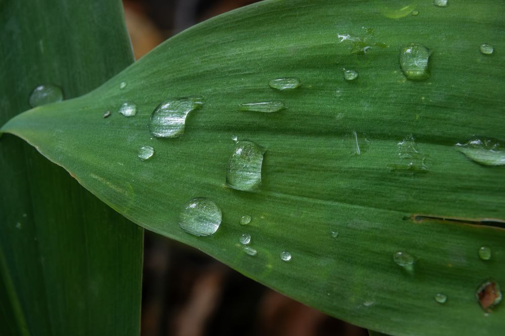 Photograph by Дудников Александр