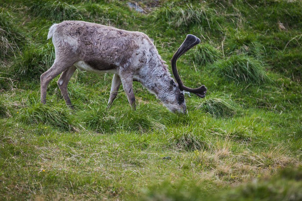 Photograph by Очева Наталья Александровна