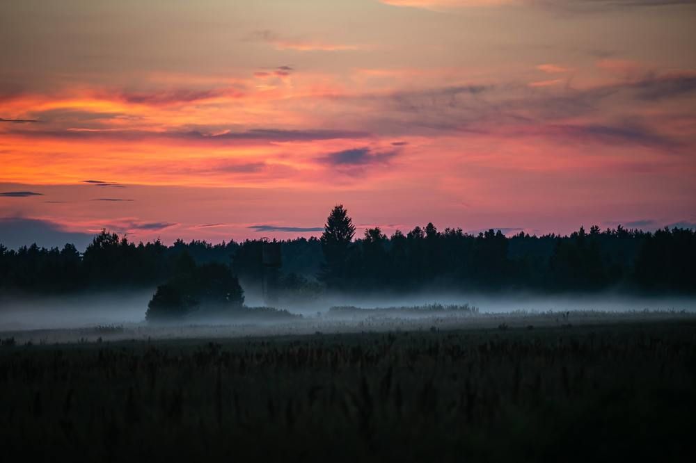 Photograph by Очева Наталья Александровна