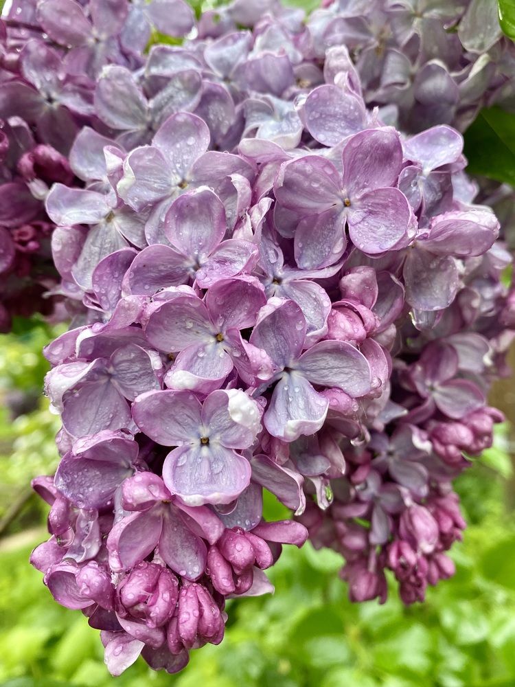 Photograph by Екатерина Антонова