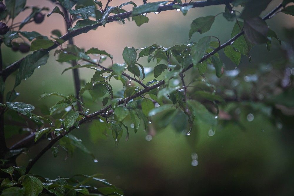 Photograph by Очева Наталья Александровна