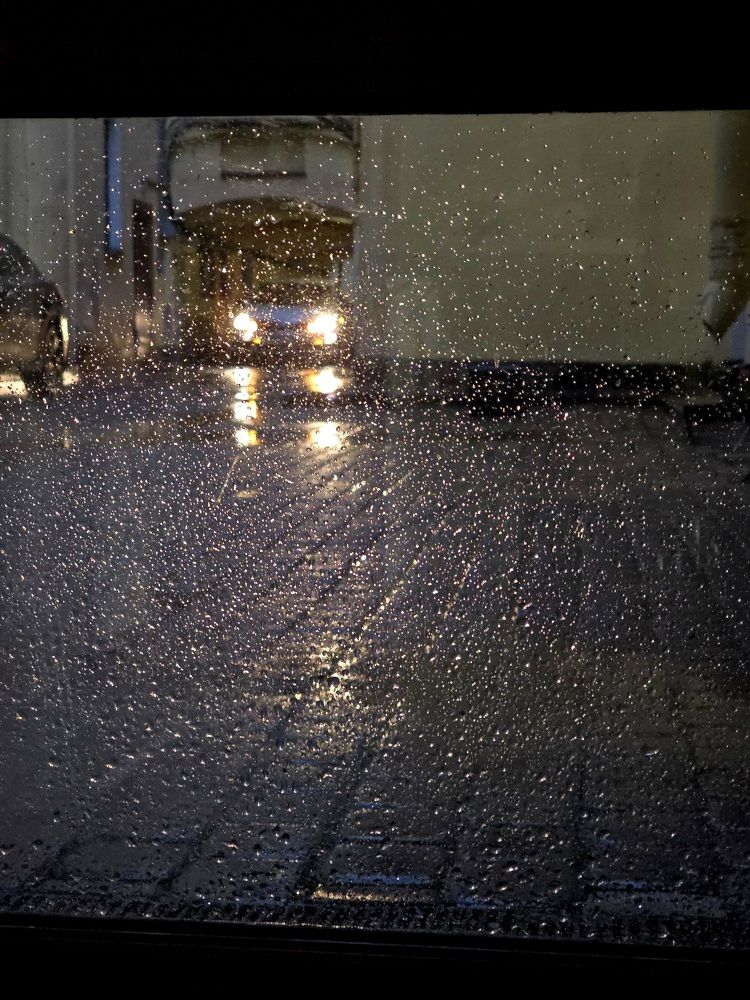 Фотография автора Елизавета Ковалева