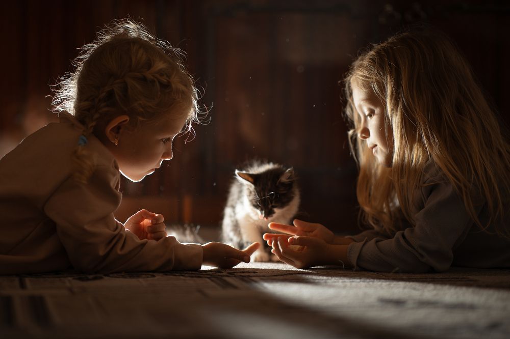 Photograph by Ольга Пащенко