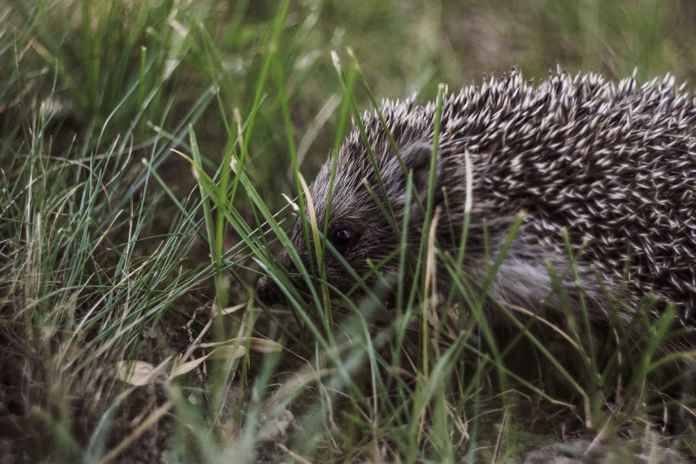 Photograph by Юлия Щетинина