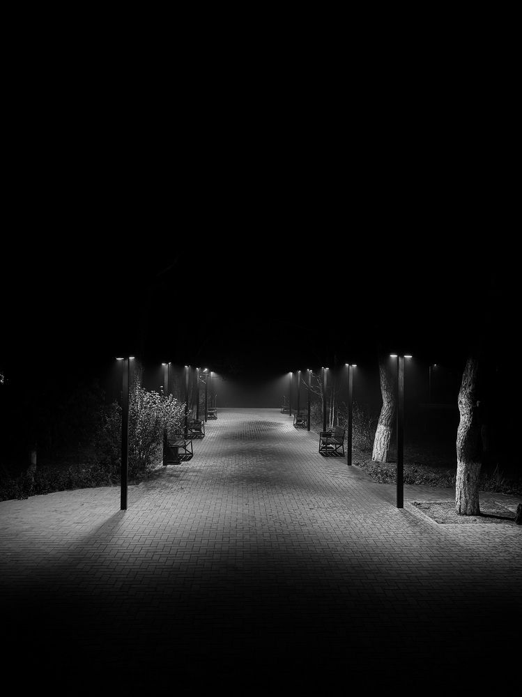 Photograph by Olesya