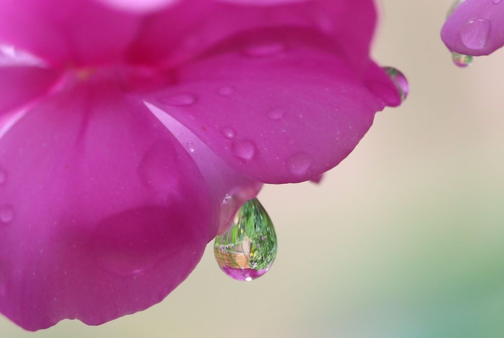 Photograph by Елена Тимченко