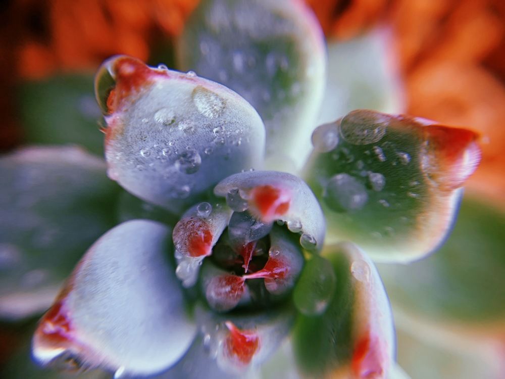 Photograph by Анна Кононец