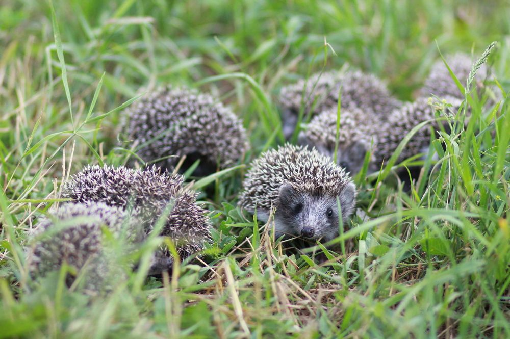 Photograph by Юлия Щетинина