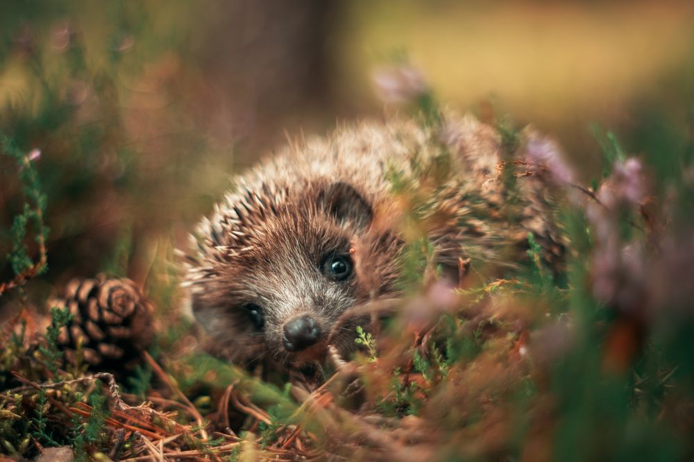 Photograph by Третьякова Анастасия