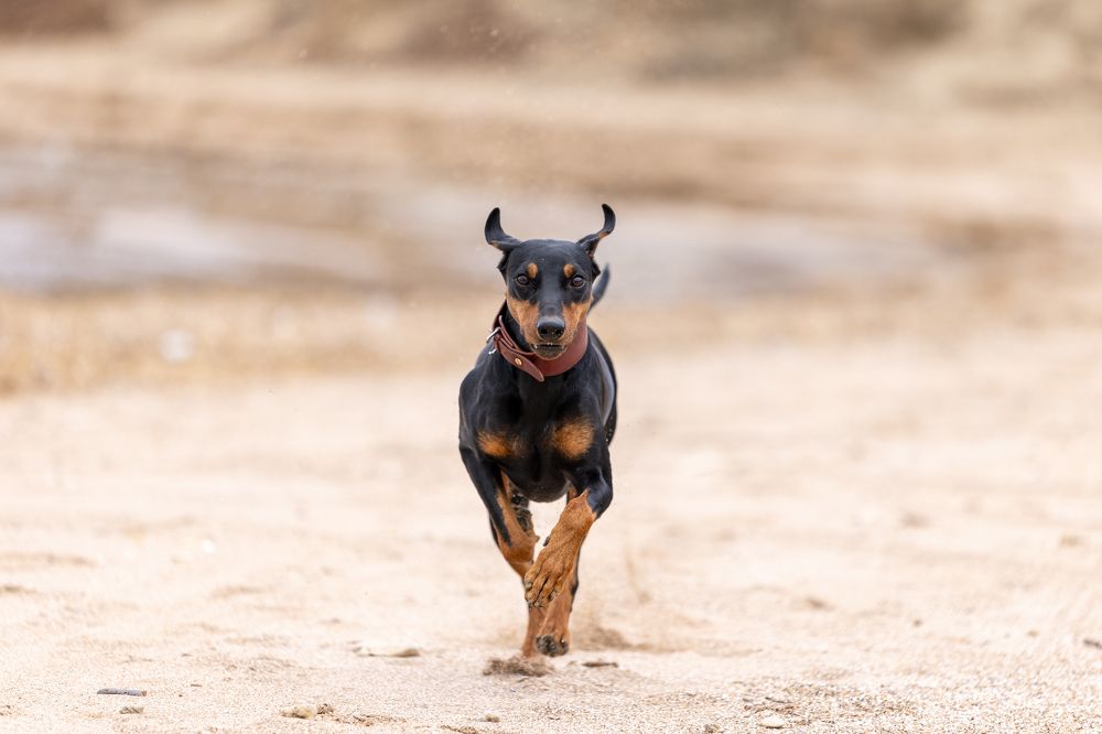 Photograph by Кирилл Ермолаев