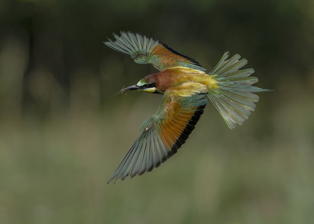 Photograph by Ernestas Balcikonis