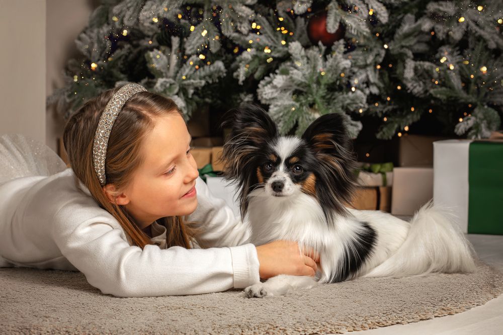 Photograph by Зубкова Юлия