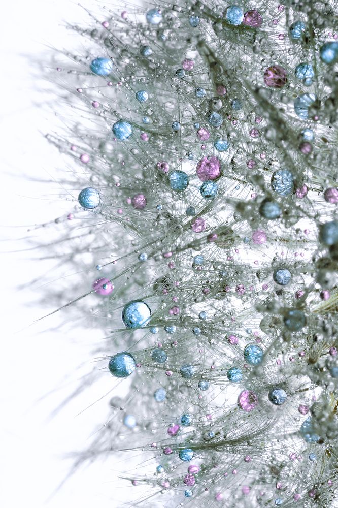 Photograph by Ольга Яр