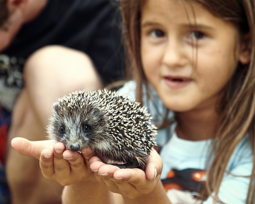 Два ребёнка