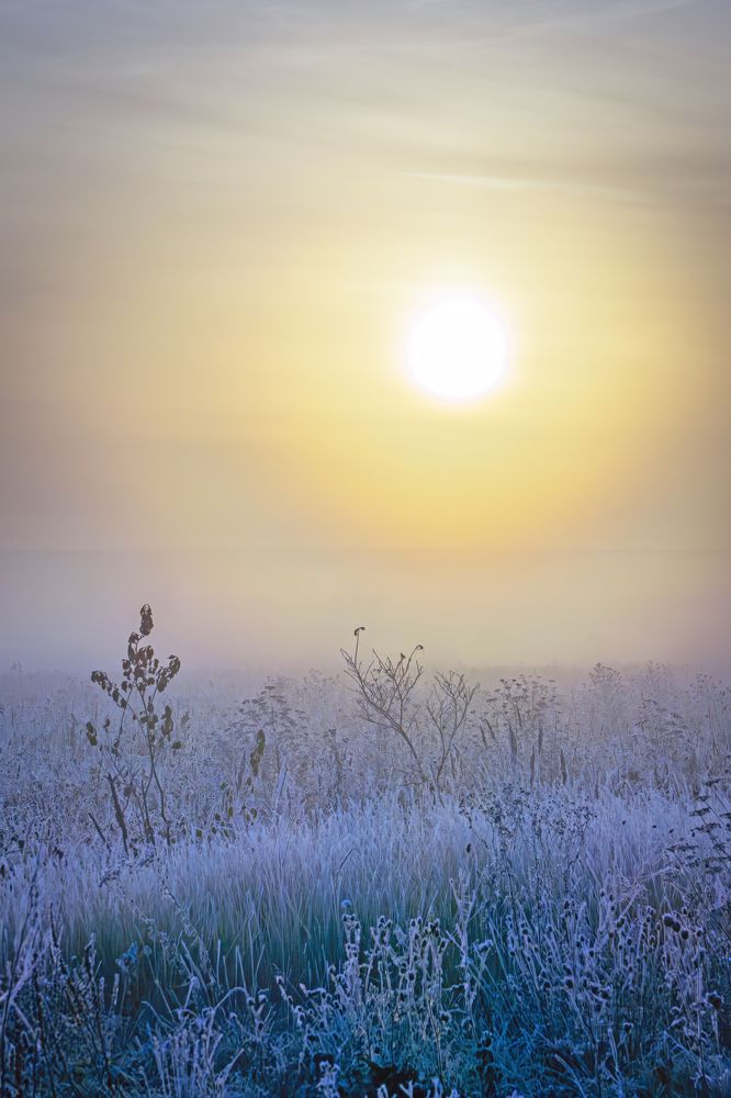 Photograph by Ринат Файзуллин