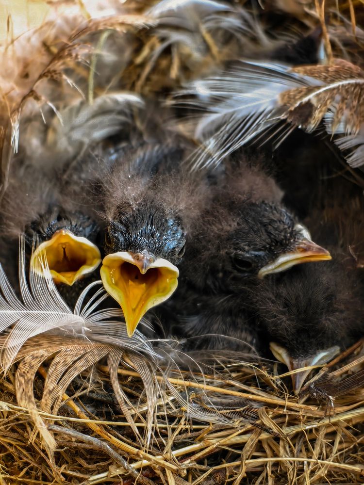 Фотография автора Ольга Панасюк