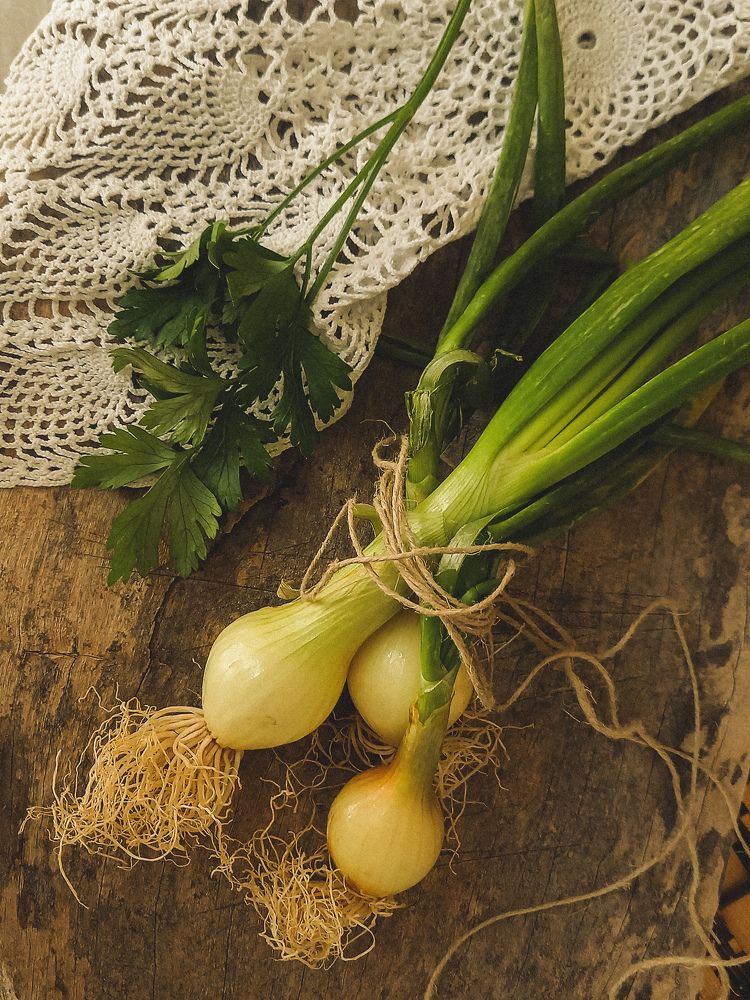 Фотография автора Alexandra Kazakova