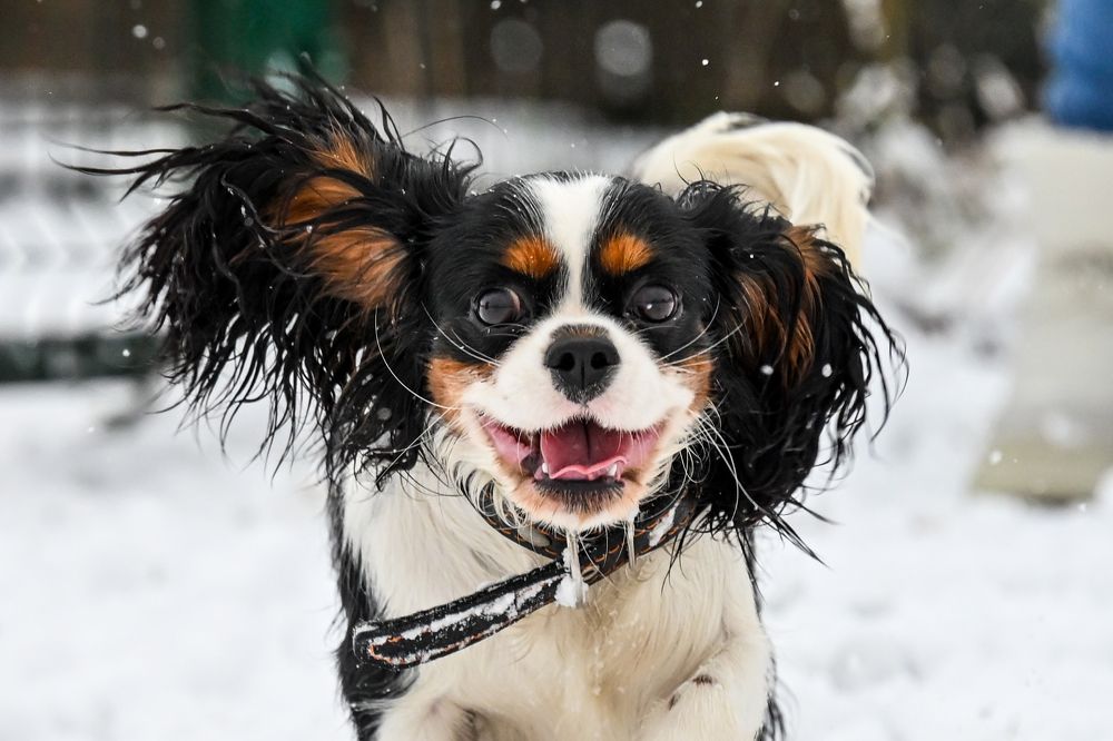 Photograph by Алексей