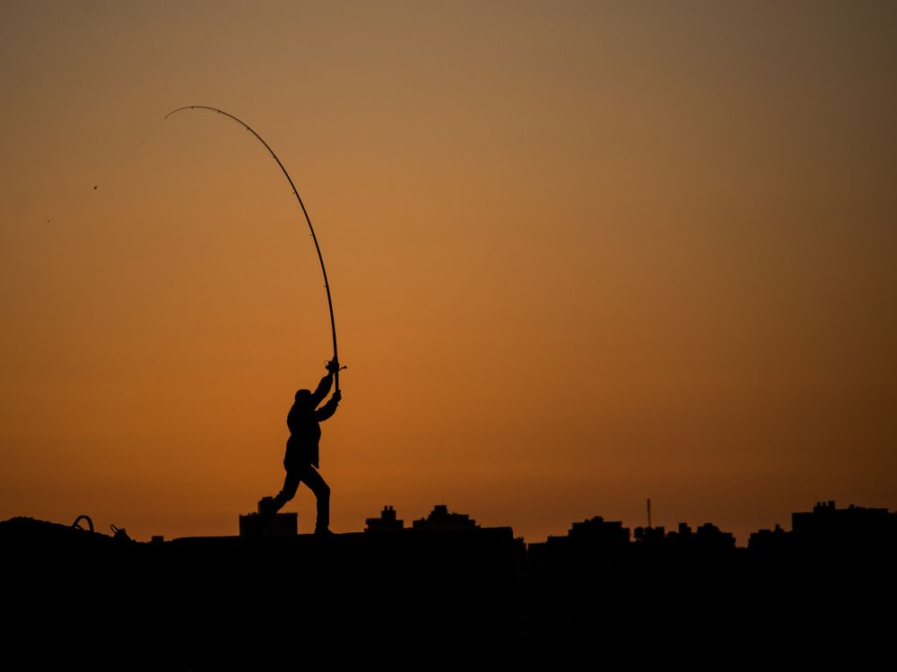 Photograph by Ahmed FahmyZa