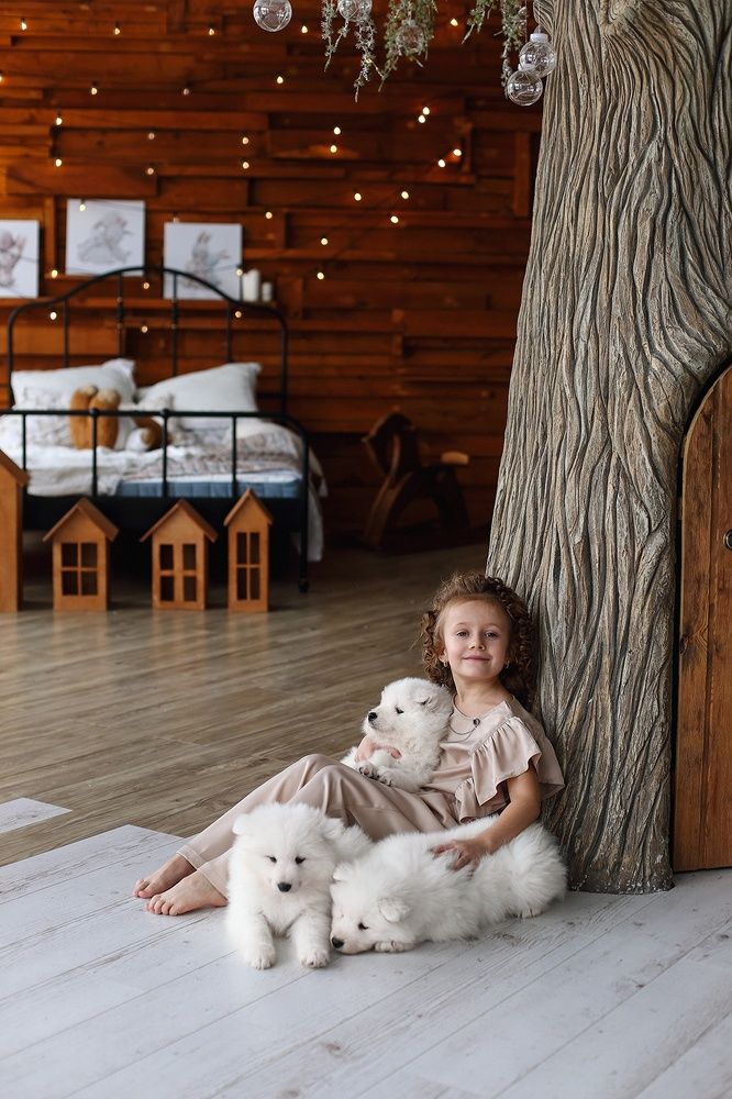 Фотография автора Евграфова Наталия