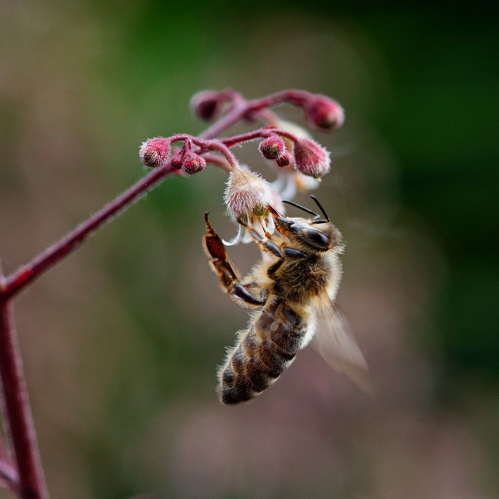 Photograph by Эльга Канашевич