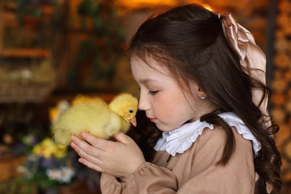 Фотография автора Евграфова Наталия