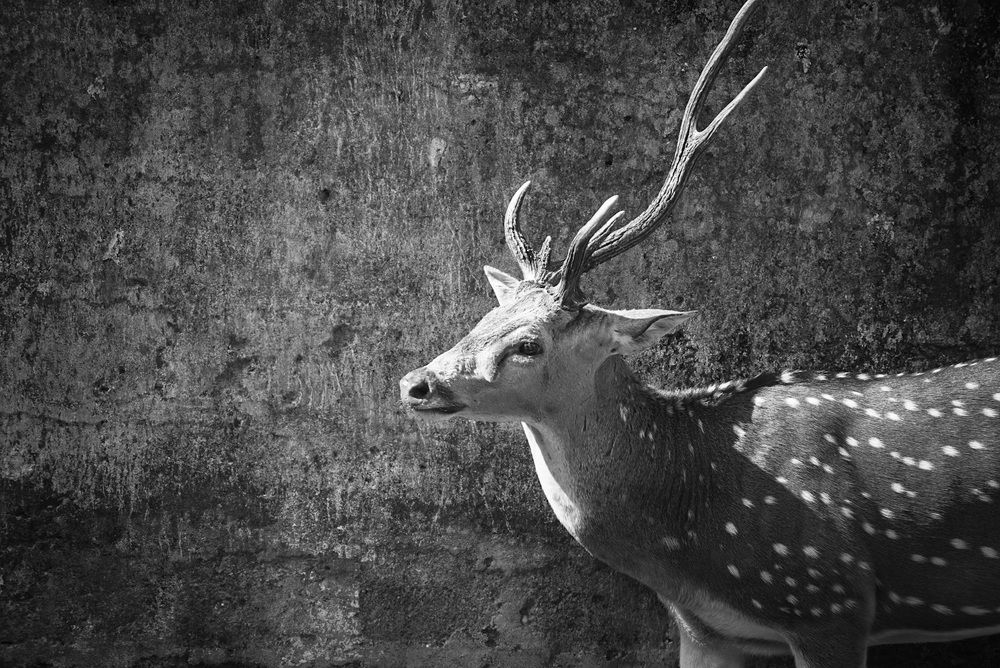 Photograph by Yogarajah Jathumilan