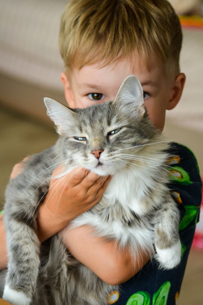 Photograph by Анастасия Гурова