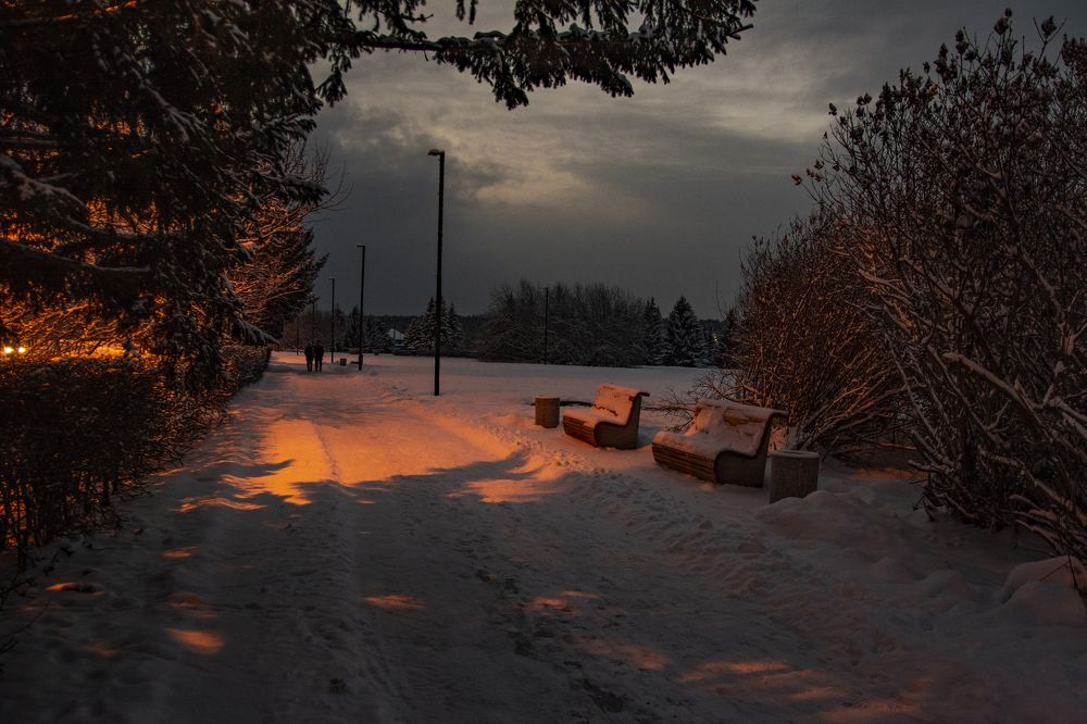Фотография автора Анатолий Мацеля