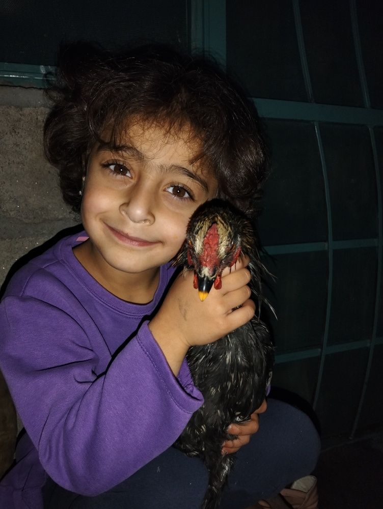 Photograph by Ishaq Karim