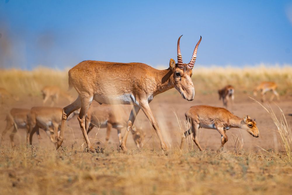 Photograph by Olga Semisotova