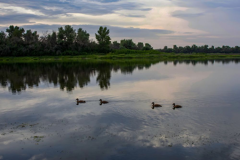 Photograph by Ирина Шибитова