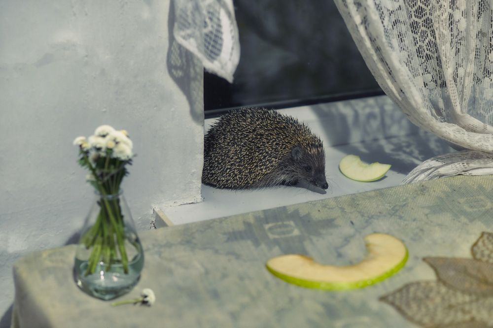 Photograph by Marina Ivanova