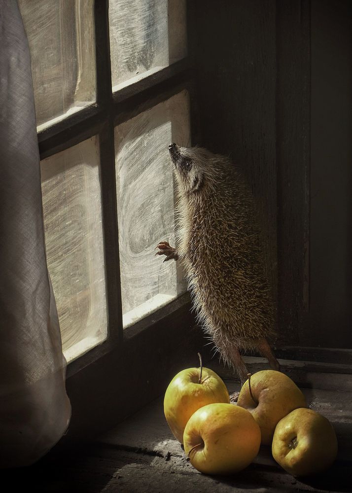 Photograph by Ricci Natalia