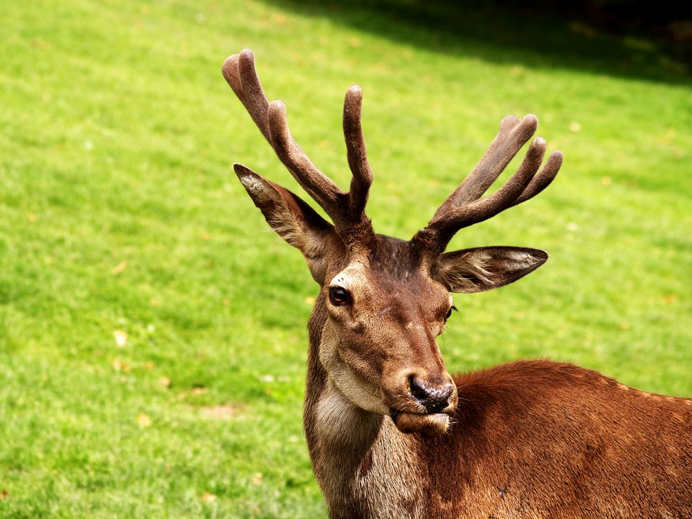 Photograph by Abdolreza Aleagha