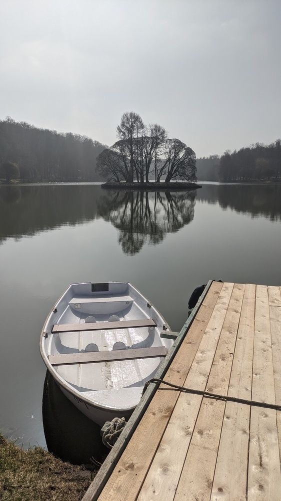 Фотография автора Васильева Ирина