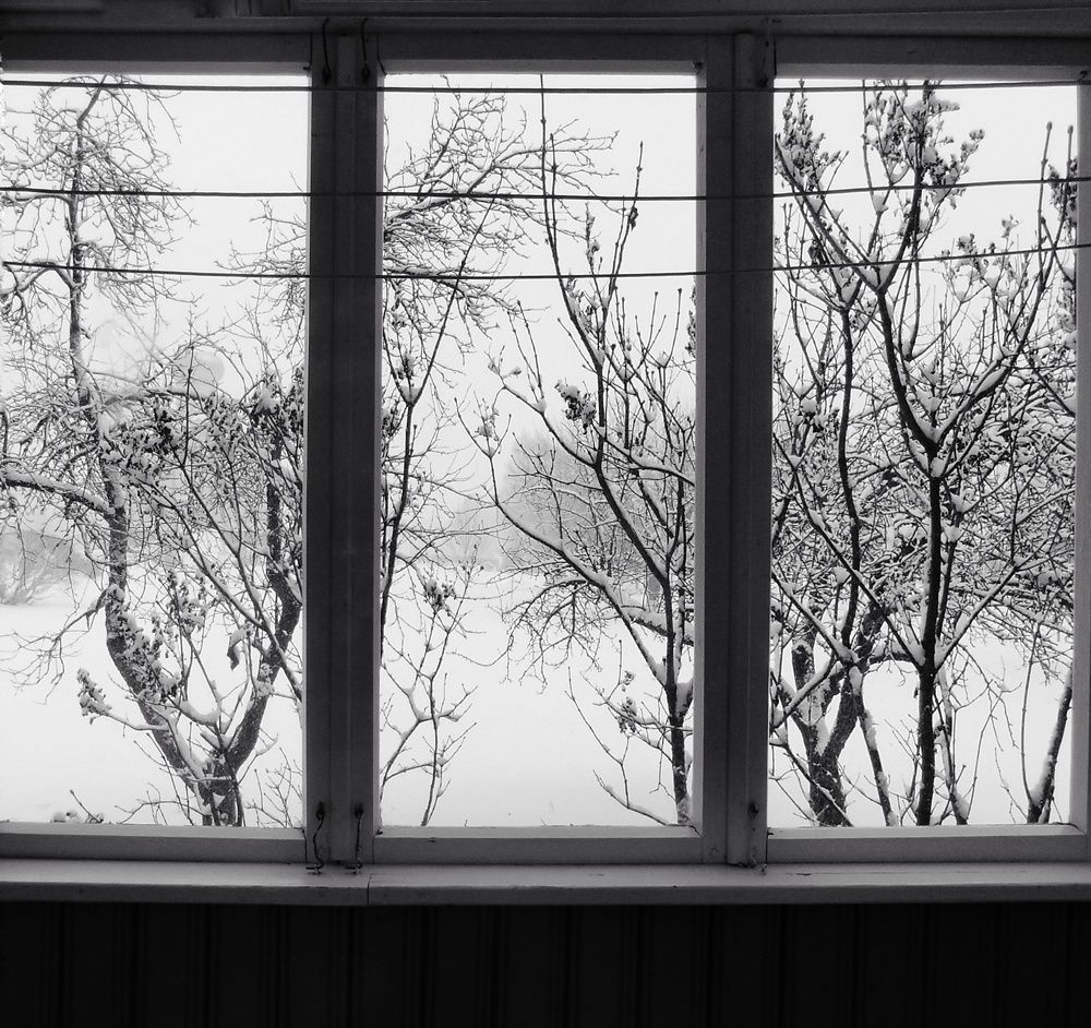 Photo #11487356