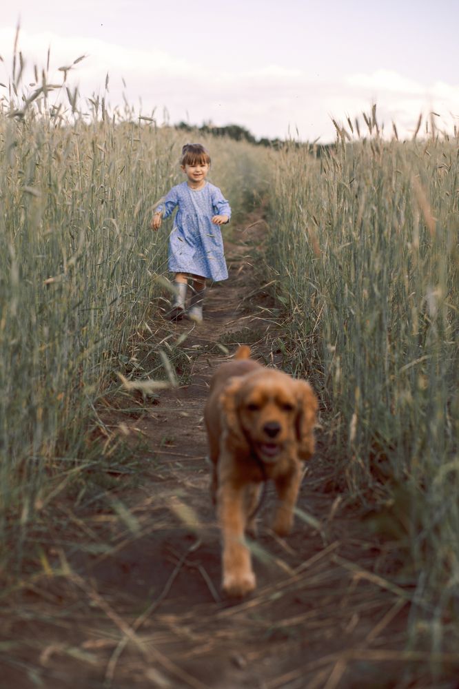 Photograph by Светлана Подгайская