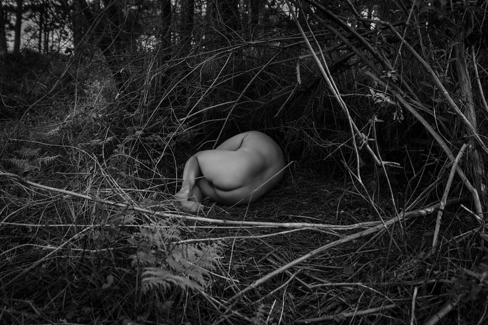 Photograph by Michael Hobsters